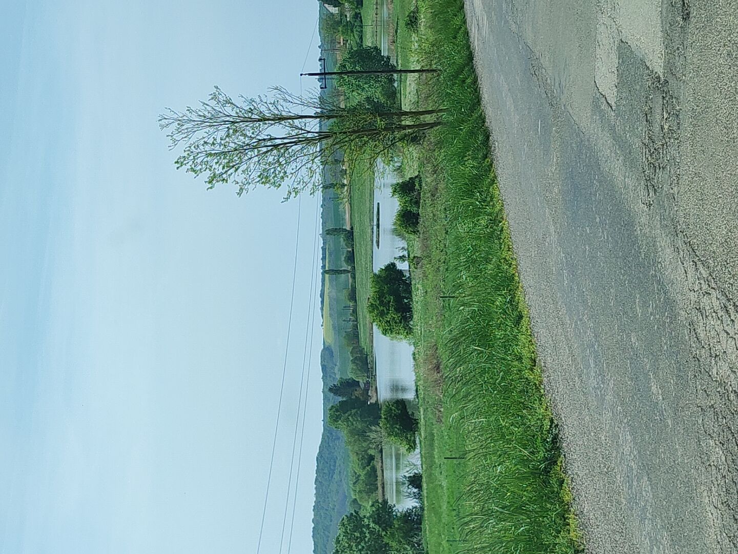 americanglam